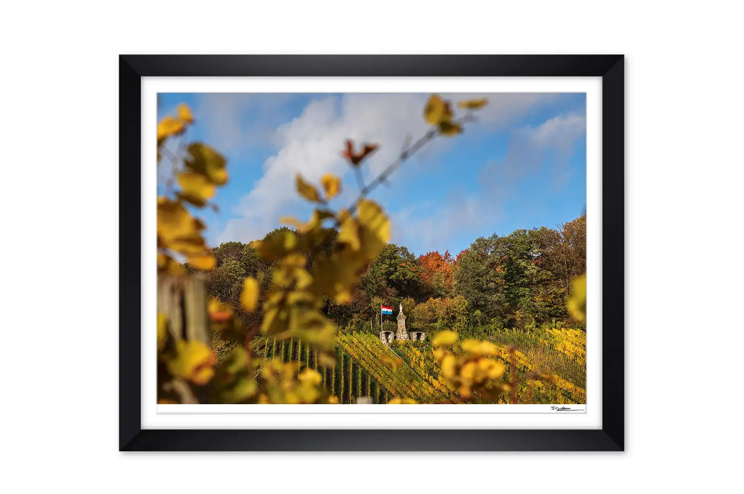 Moselle Luxembourg Vineyards in autumn print