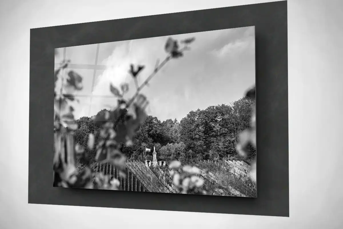 Moselle Luxembourg Vineyards in autumn floating acrylic black and white