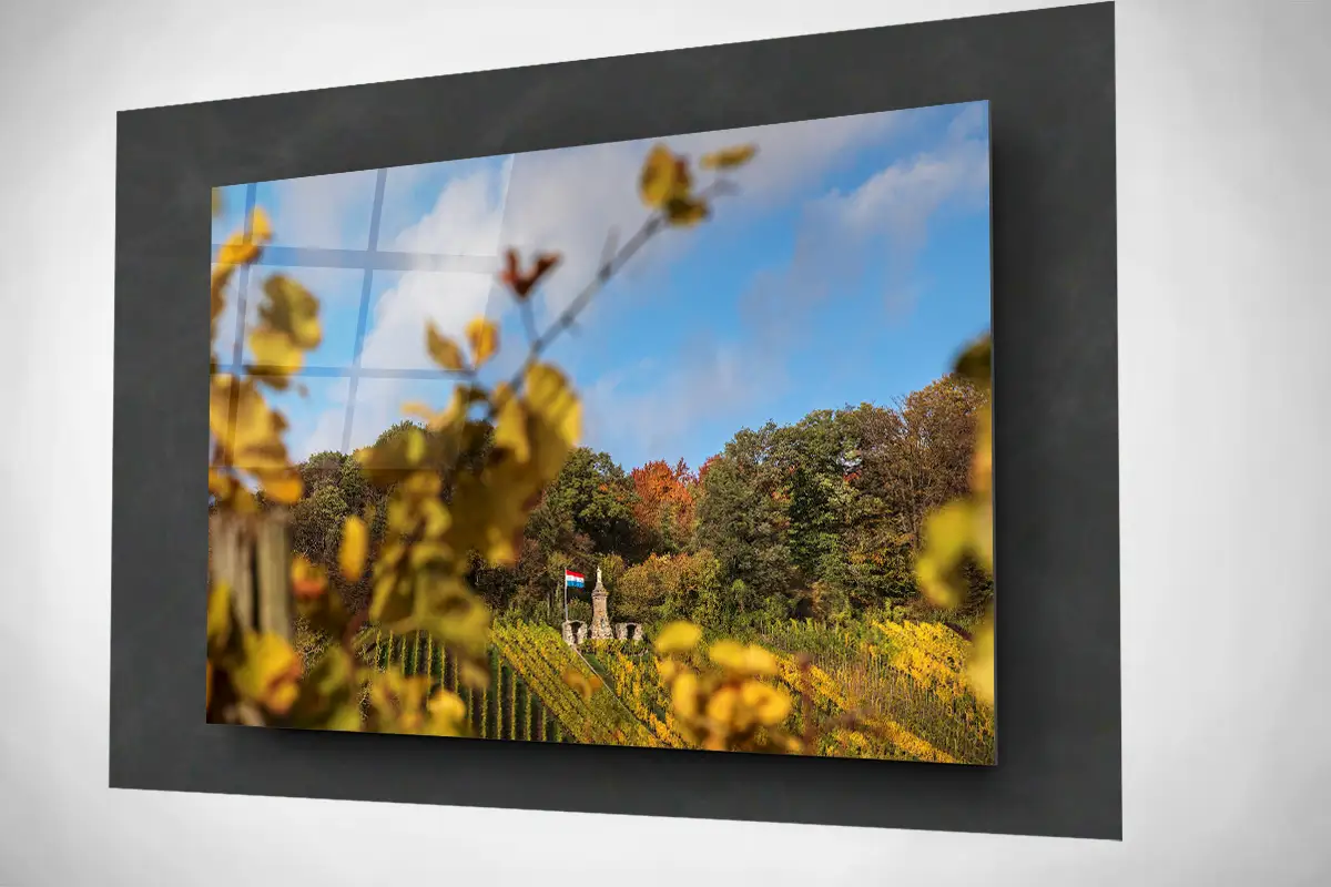 Moselle Luxembourg Vineyards in autumn floating acrylic