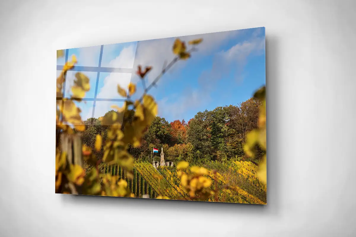 Moselle Luxembourg Vineyards in autumn gallery print acrylic