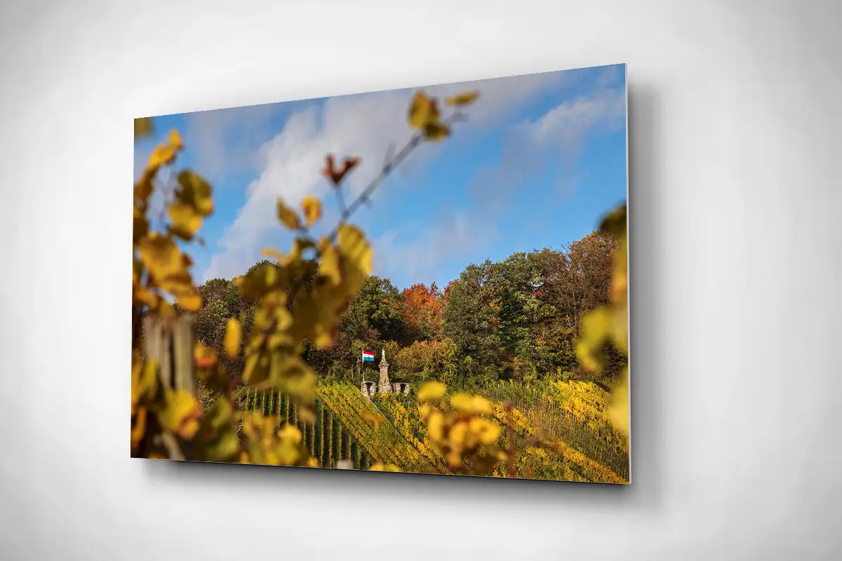 Moselle Luxembourg Vineyards autumn rigid poster